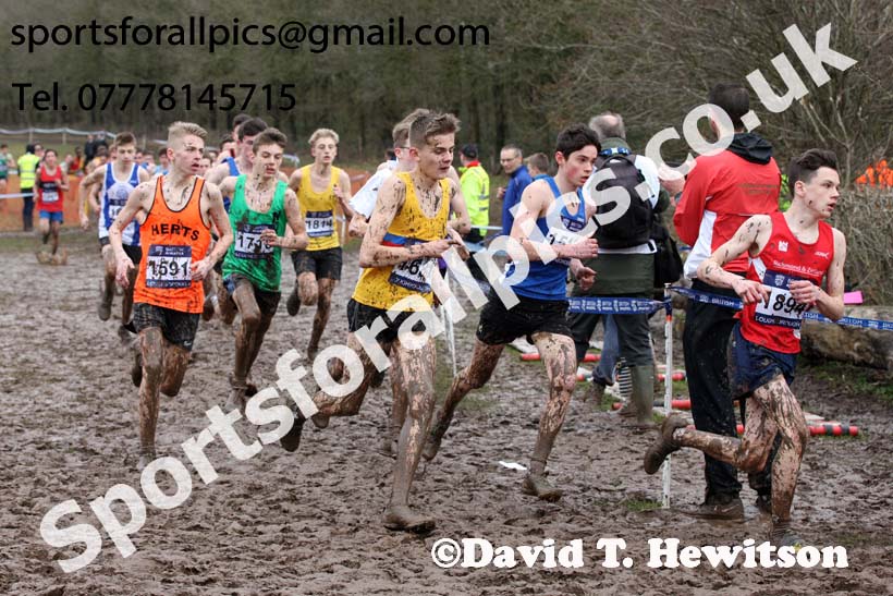 Boys under-15s 2018 British Inter Counties Cross Country Champs., Prestwold Hall, Loughborough. Photo: David T. Hewitson/Sports for All Pics
